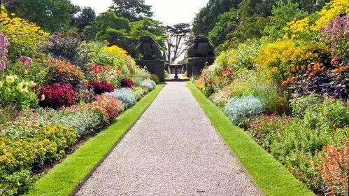 花境有多美,就有多難搭配,別讓絕絕子的花境拉低了你花園的檔次
